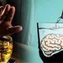 Учёные: Алкоголь продолжает разрушать мозг ещё несколько дней после употребление
