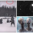 В СССР знали про Нибиру: На перевале Дятлова найдены осколки военной ракеты и следы сражения с НЛО