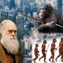У людей вырастут хвосты? Человек может превратиться обратно в обезьяну