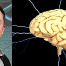 Хочет стать властелином мира? Стартап Илона Маска научился вживлять микрочипы в мозг