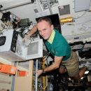 Водоросли на МКС будут вырабатывать кислород Водоросли на МКС будут вырабатывать кислород